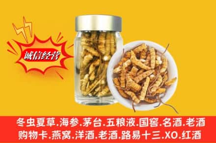 恩施建始县求购回收散虫草