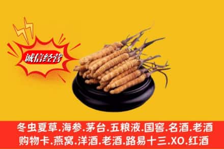 恩施建始县回收虫草多少钱每克